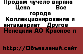 Продам чучело варана. › Цена ­ 15 000 - Все города Коллекционирование и антиквариат » Другое   . Ненецкий АО,Красное п.